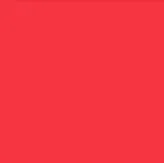 3/4" Tyvek Holiday Wristbands