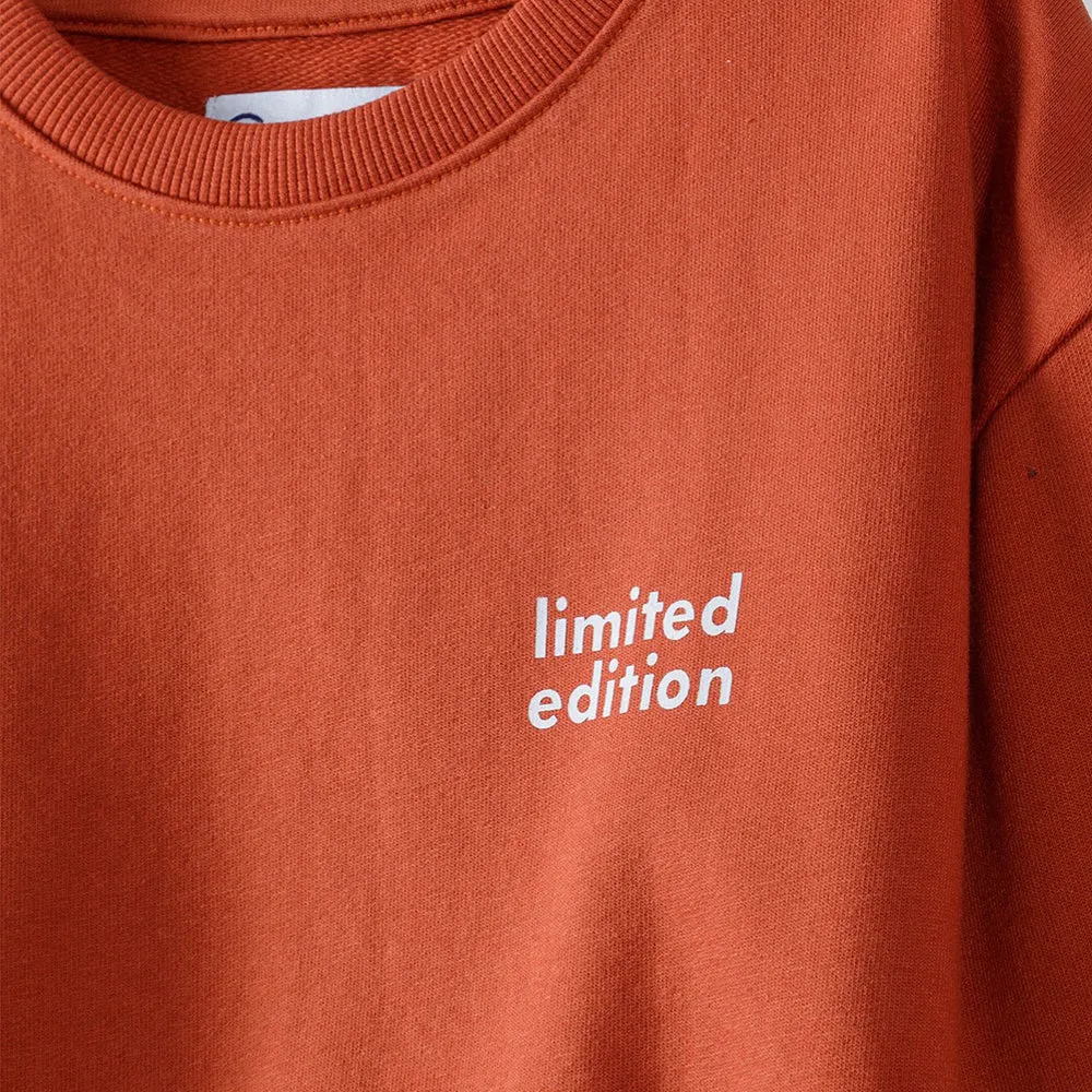 51015 Limited Edition Dark Orange Sweatshirt 8380
