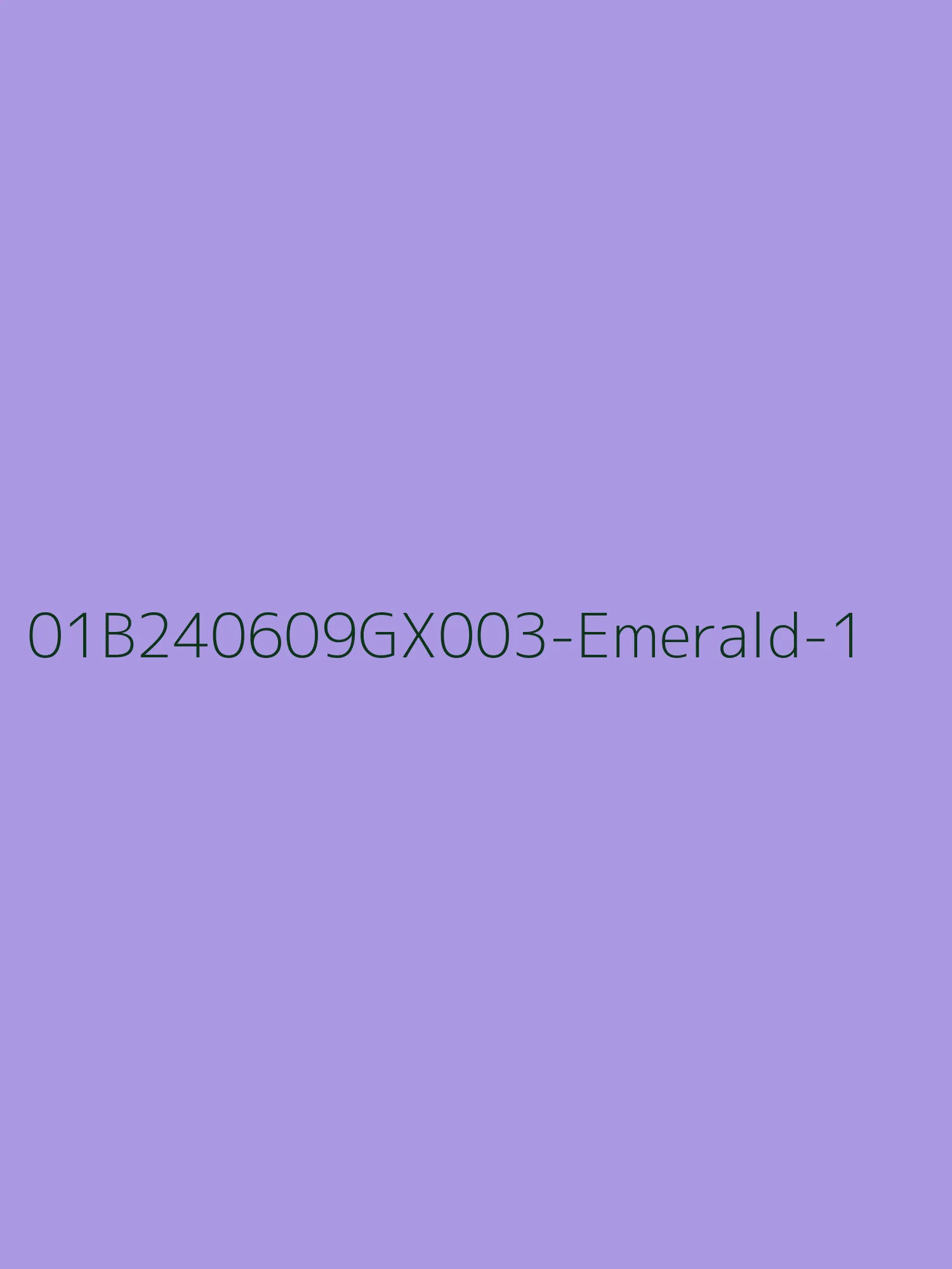 LBLSPU-01B240609GX003