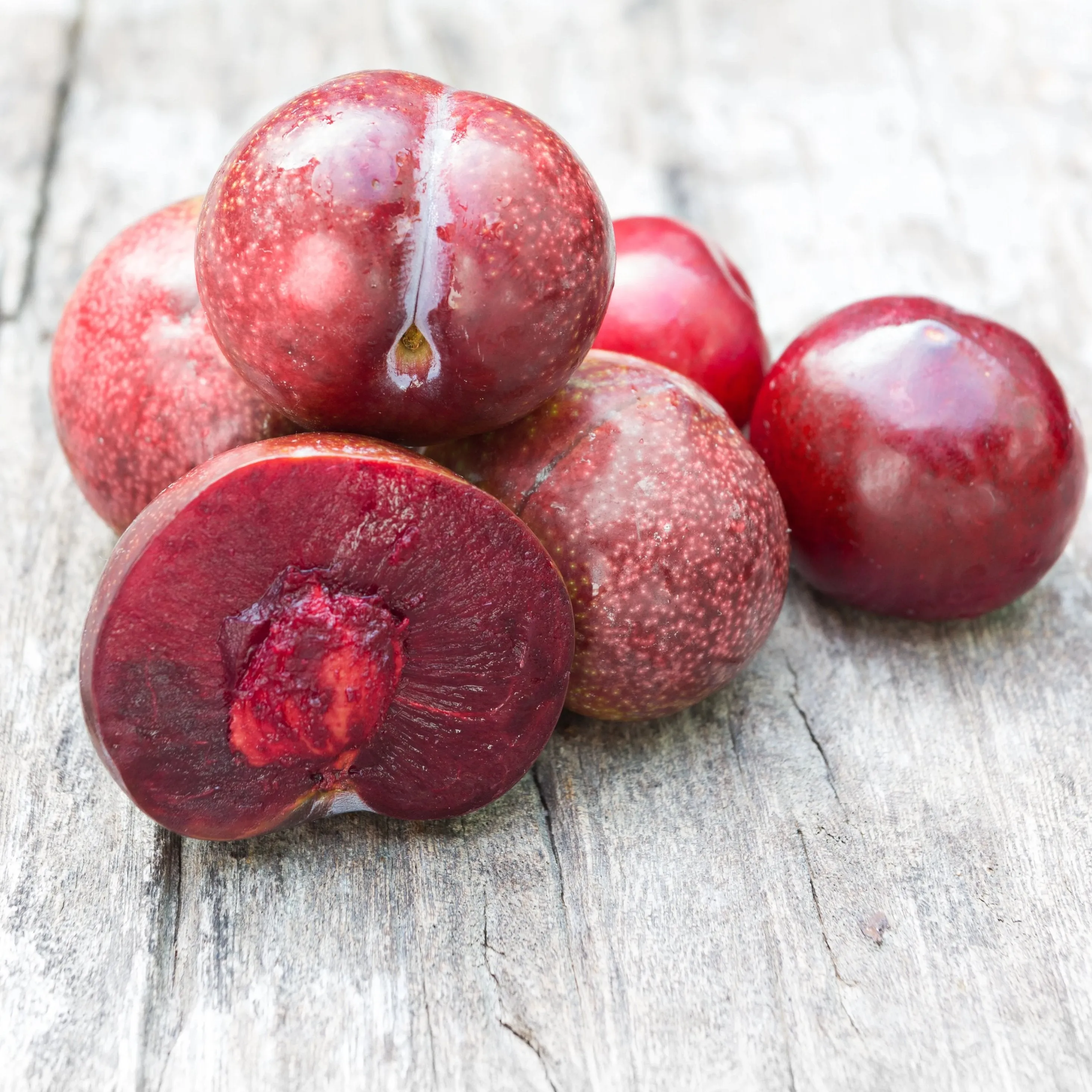 Methley Plum Tree