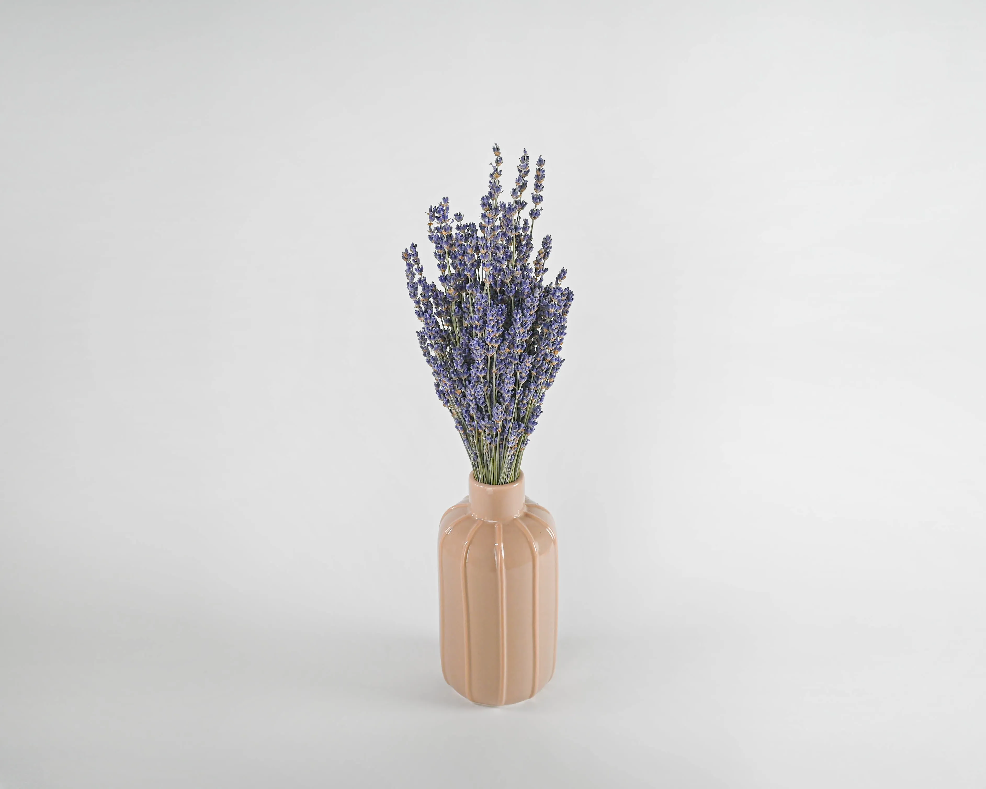 Super Blue Royal Velvet Lavender Bunch